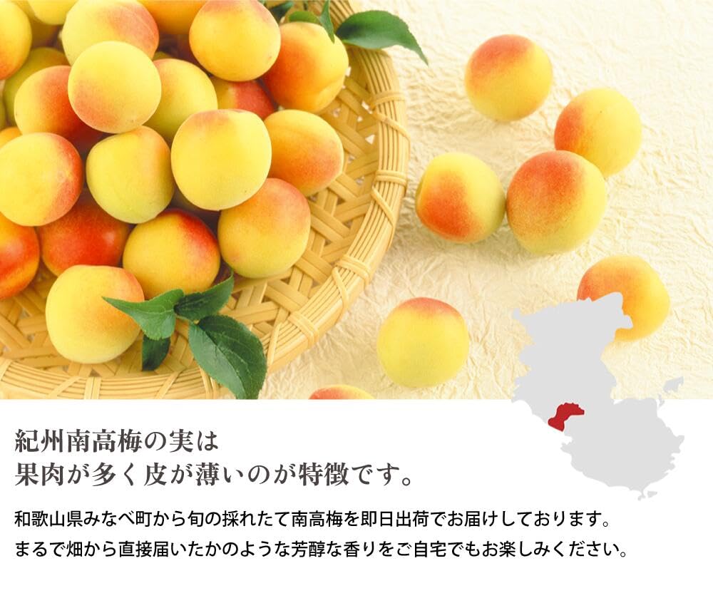 Amazon | 【梅干し用】2025年産 訳あり 紀州南高梅の完熟梅 南高梅 旬